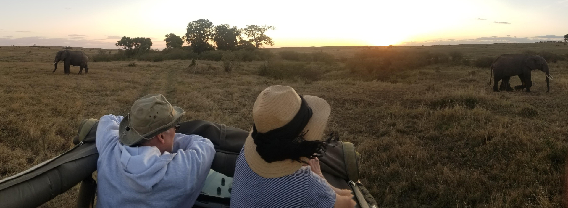 Couple watching elephants at sunset on the Kenyan plains
