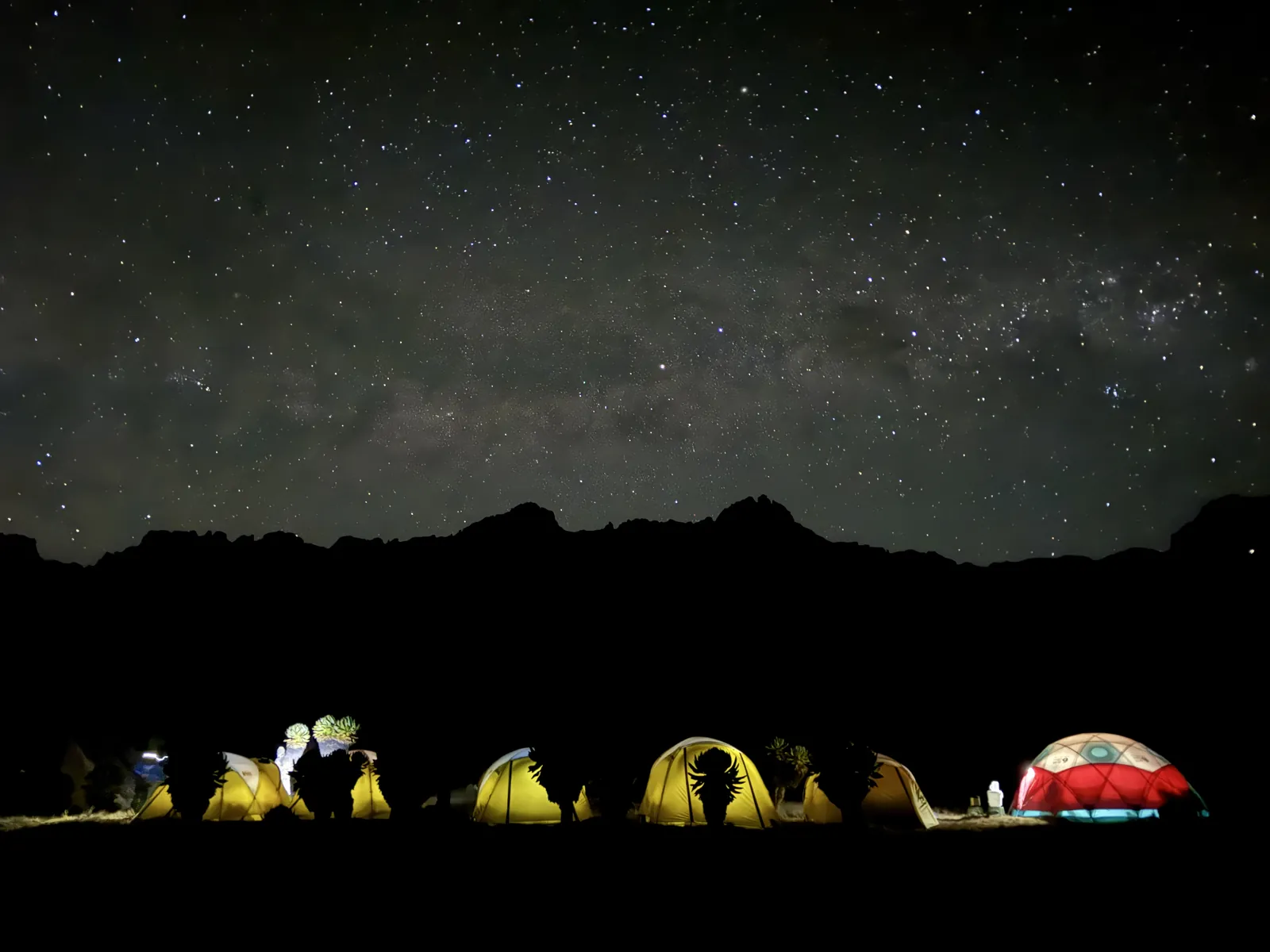 Tents lit up at night under a star-filled sky on Mount Kenya