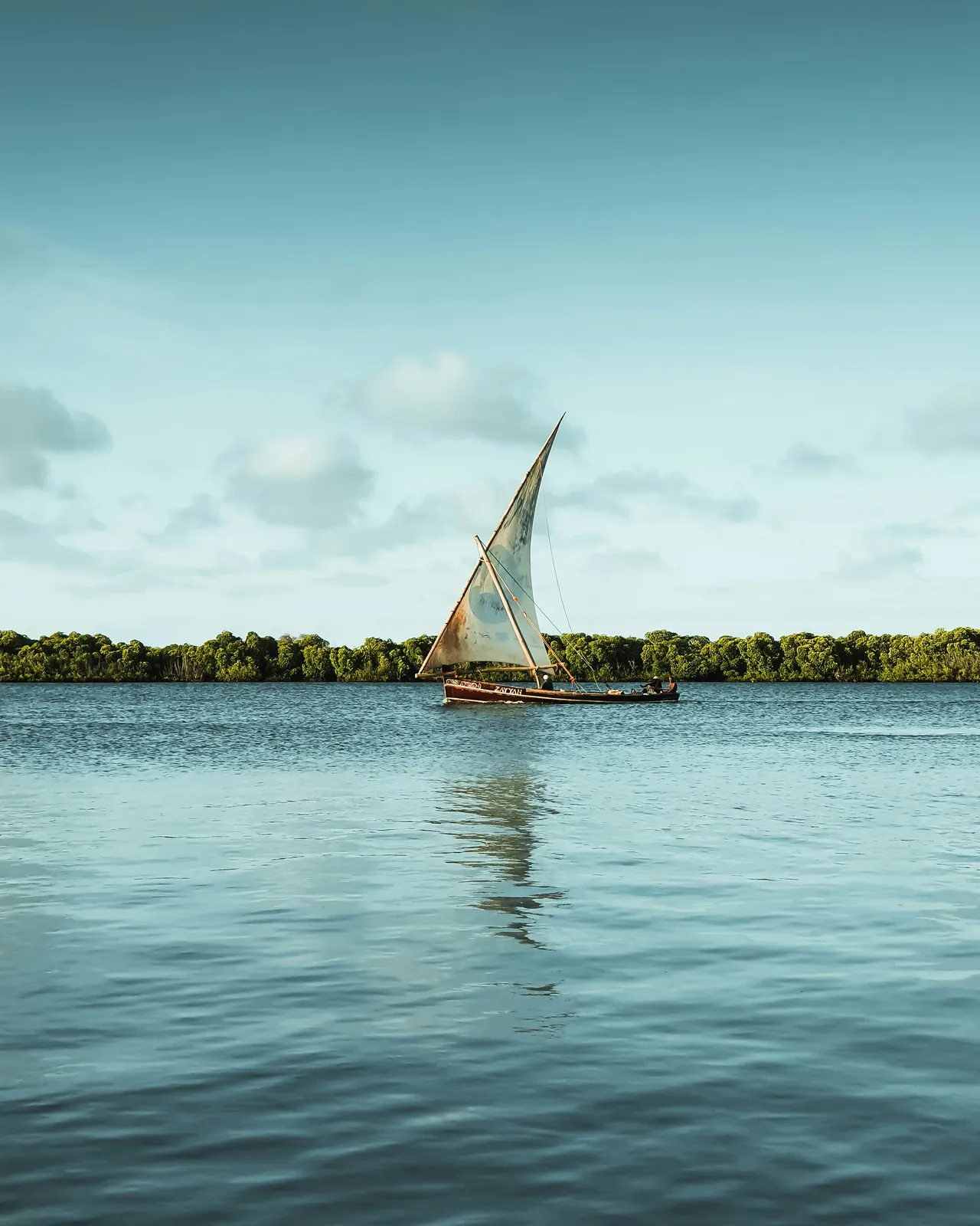 Traditional dhow sailing past mangroves on calm coastal water
