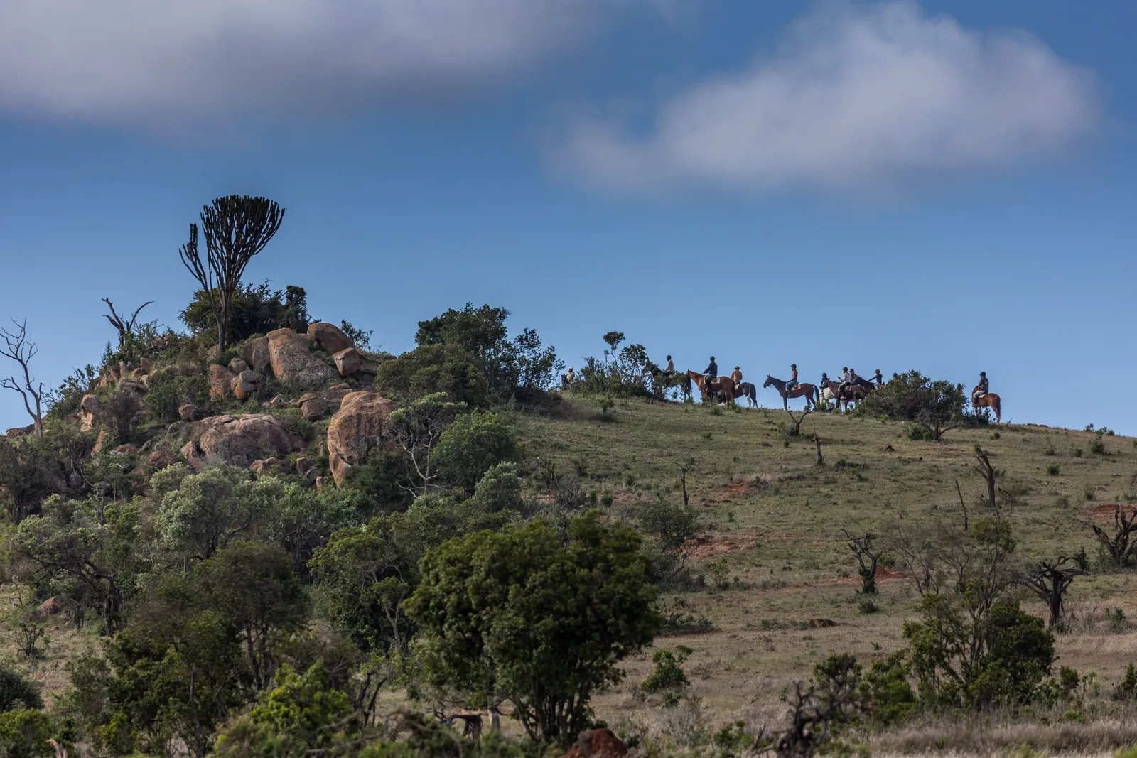 Group on horseback riding along a ridge in the conservancy